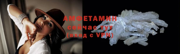 ПСИЛОЦИБИНОВЫЕ ГРИБЫ Алзамай