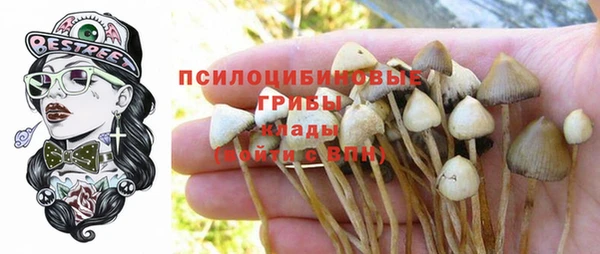 mix Богданович