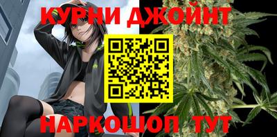 сатива Беслан