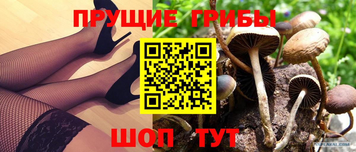 Псилоцибиновые грибы прущие грибы  Вход с VPN  Балахна 