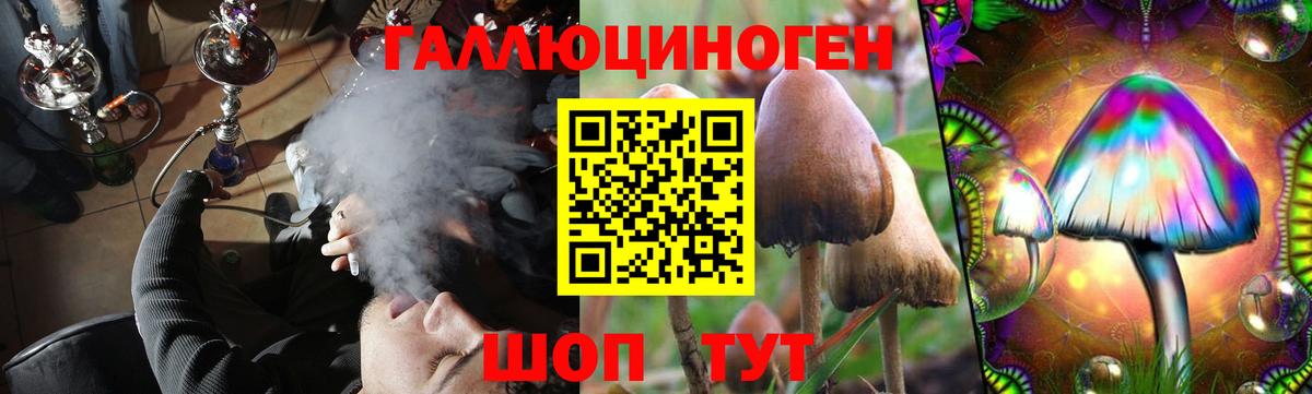 Псилоцибиновые грибы прущие грибы Балахна