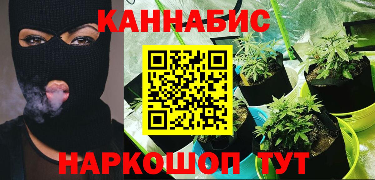 Канабис конопля Балахна